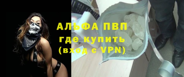 стаф Чекалин