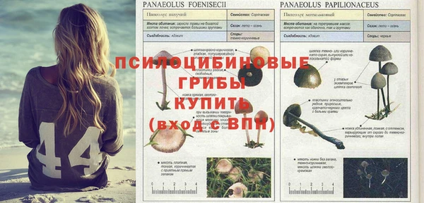 скорость Горняк