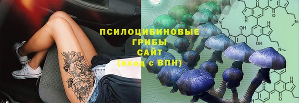 марки nbome Горнозаводск