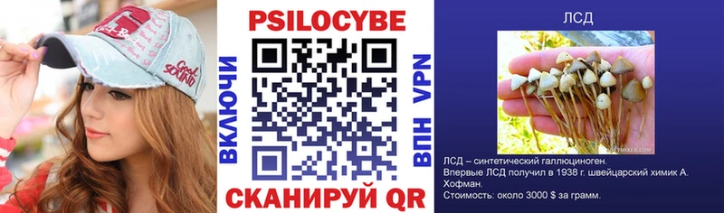 kraken как зайти  цена наркотик  Олёкминск  Галлюциногенные грибы GOLDEN TEACHER 